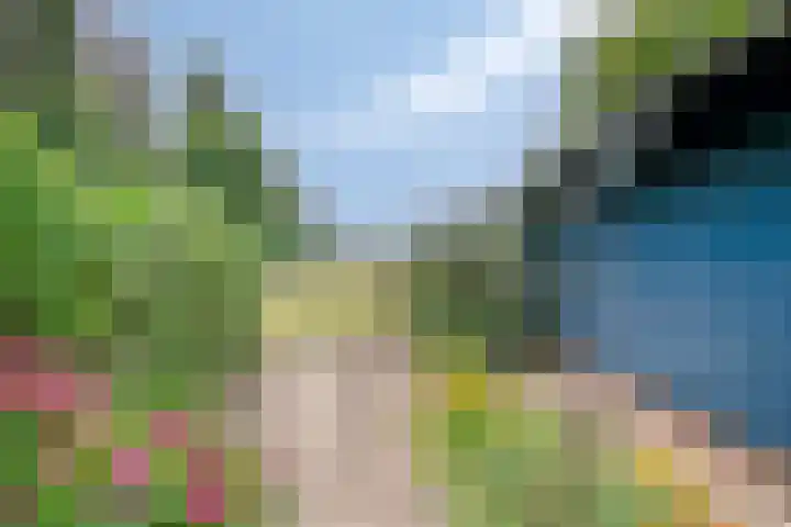 Sprokkelveld 39 Milsbeek thumbnail 29