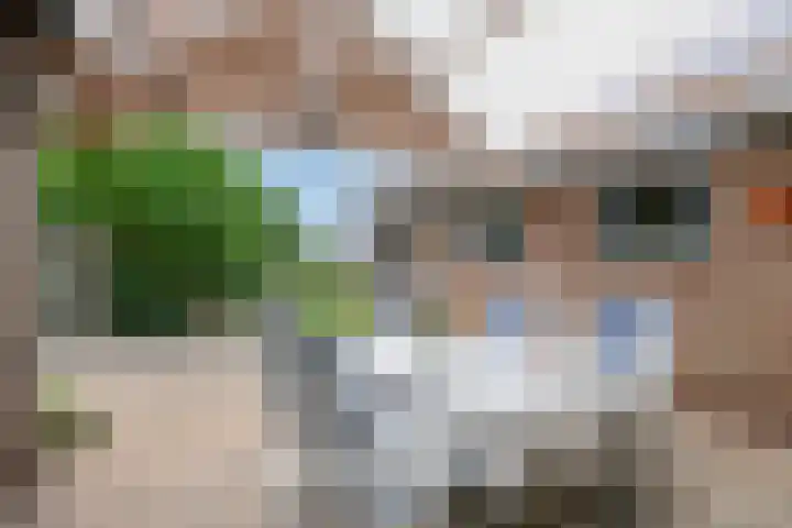 Sprokkelveld 39 Milsbeek thumbnail 33