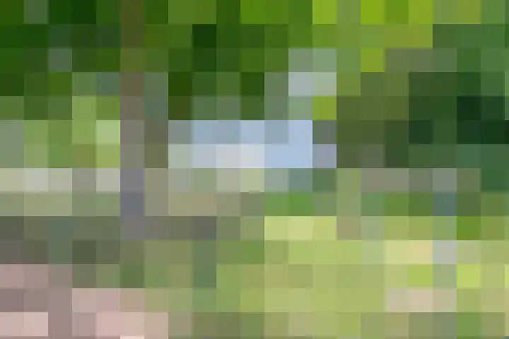 Sprokkelveld 39 Milsbeek thumbnail 39