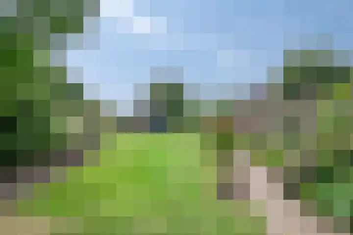 Sprokkelveld 39 Milsbeek thumbnail 6