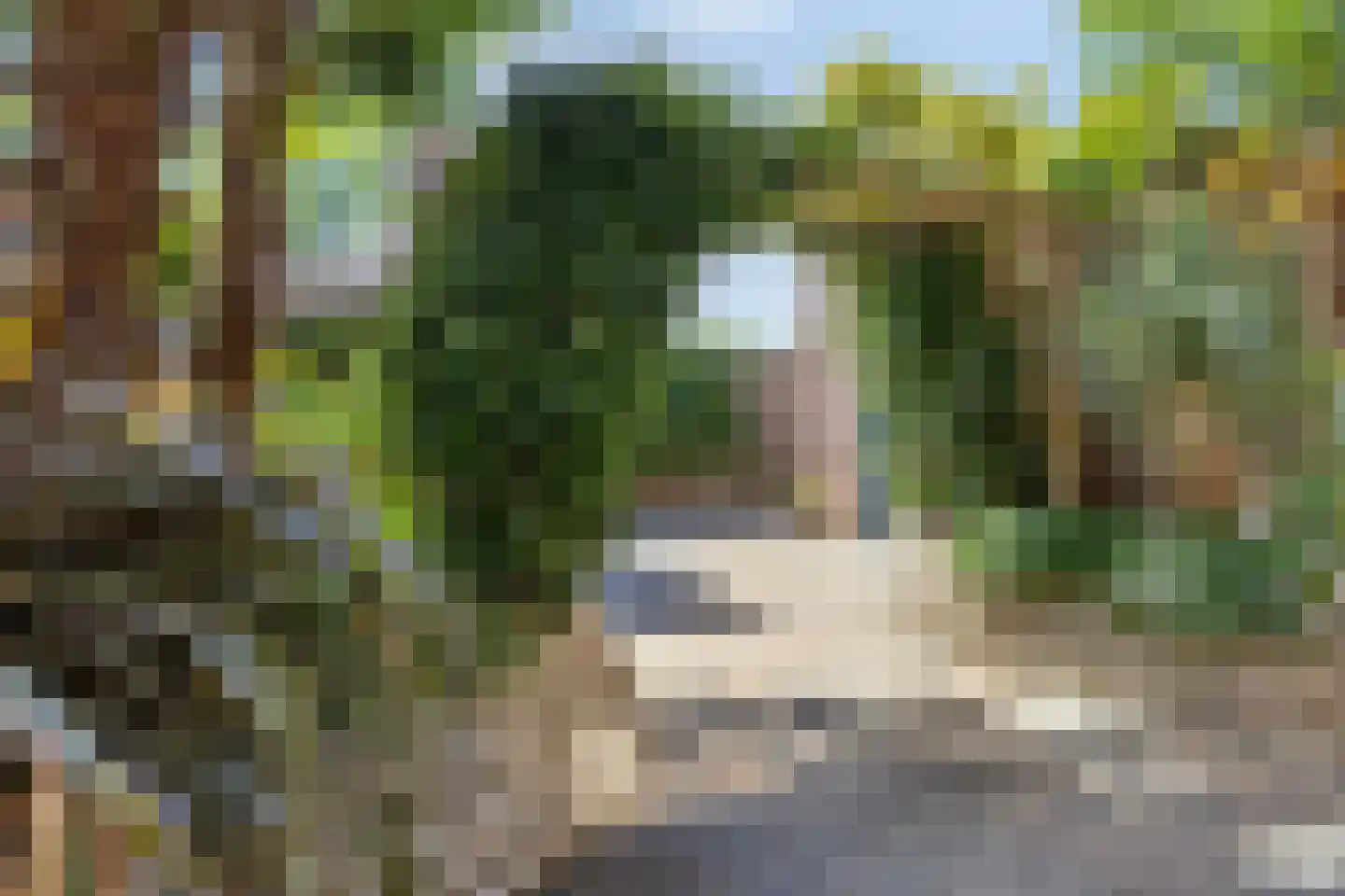 Sprokkelveld 67 a Milsbeek thumbnail 35
