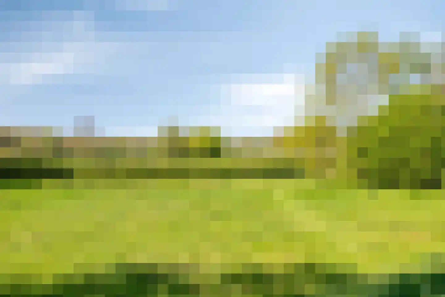 Sprokkelveld 67 a Milsbeek thumbnail 41