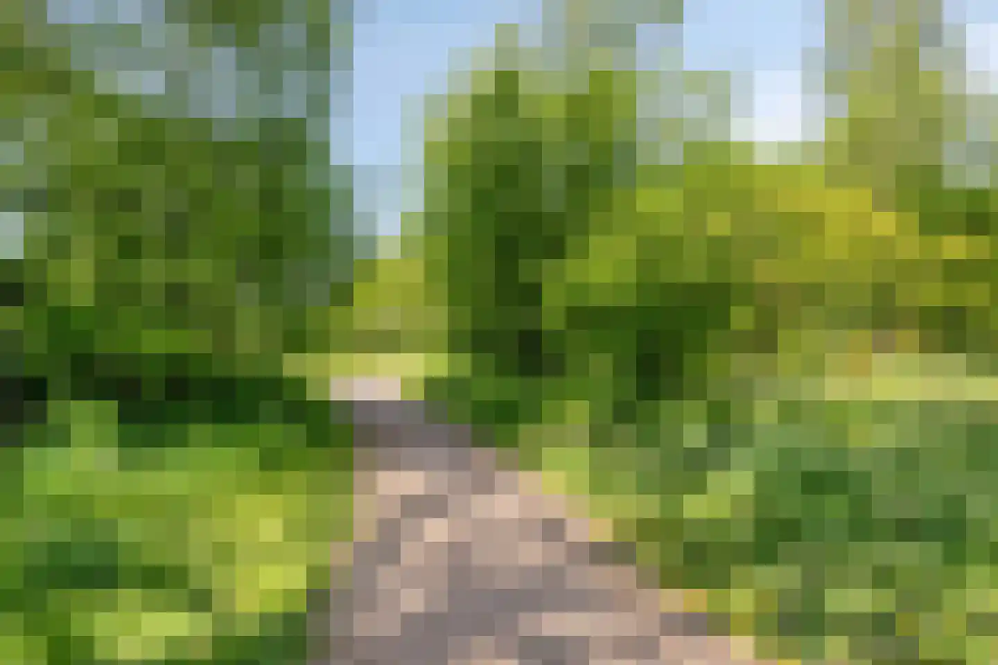 Sprokkelveld 67 a Milsbeek thumbnail 42