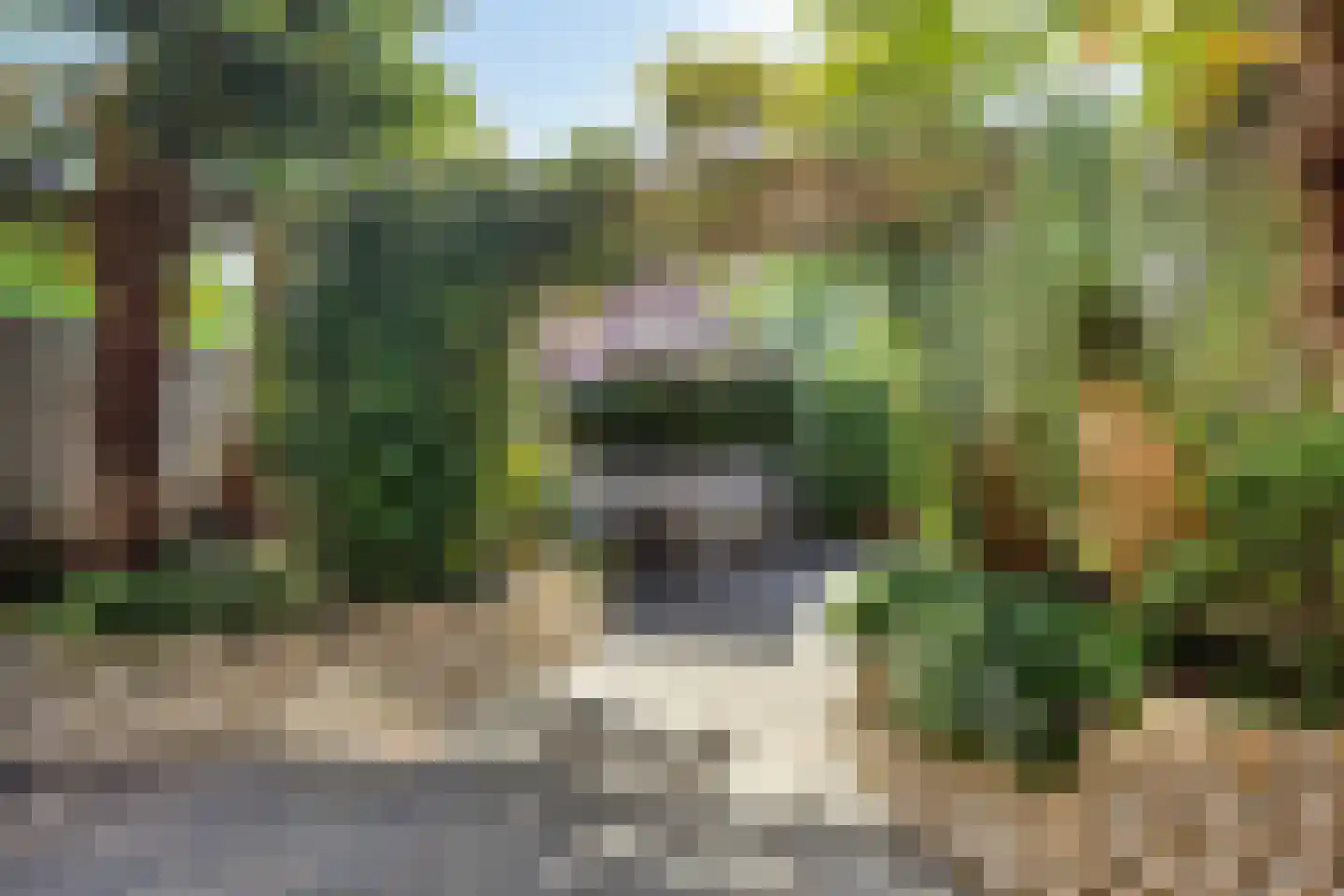 Sprokkelveld 67 a Milsbeek thumbnail 6