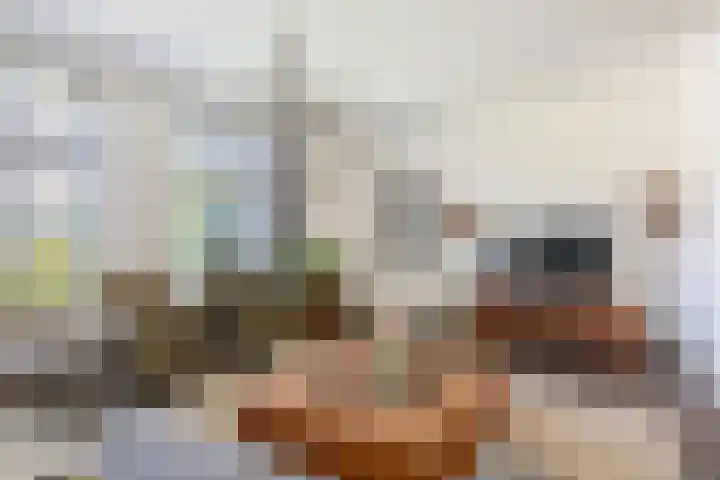 Sprookjesberg 14 Veldhoven thumbnail 12