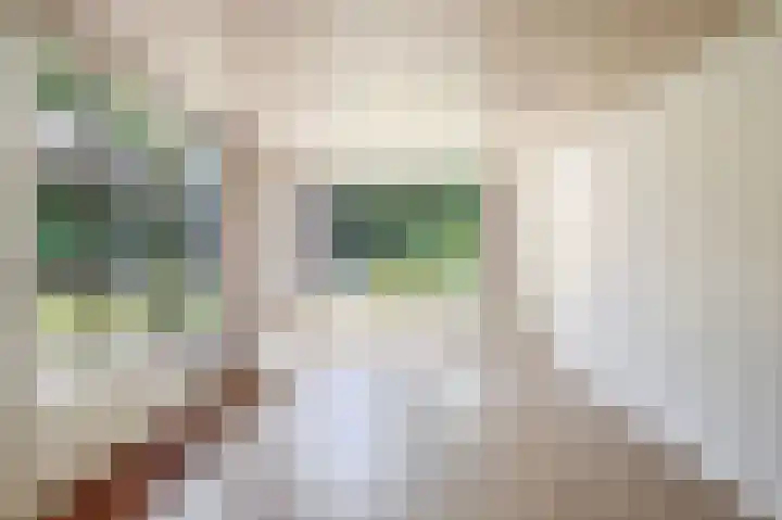 Sprookjesberg 14 Veldhoven thumbnail 17