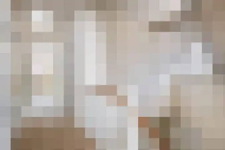 Sprookjesberg 14 Veldhoven thumbnail 29