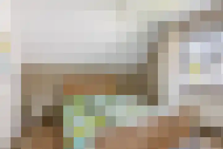 Sprookjesberg 14 Veldhoven thumbnail 32