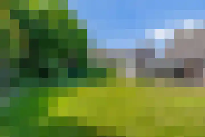 Sprookjesberg 14 Veldhoven thumbnail 4