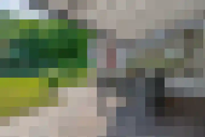 Sprookjesberg 14 Veldhoven thumbnail 40