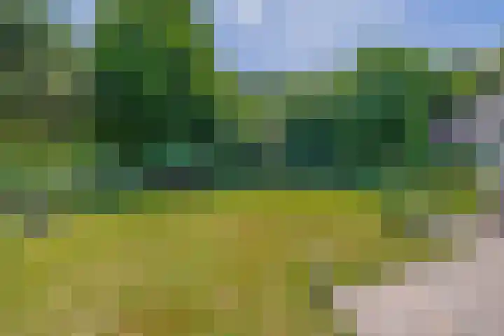 Sprookjesberg 14 Veldhoven thumbnail 42
