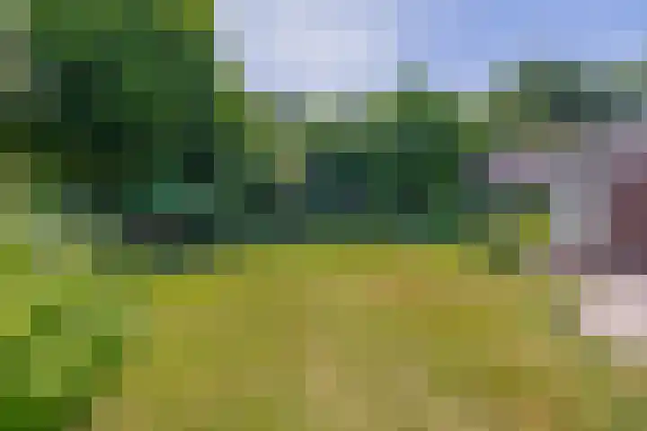 Sprookjesberg 14 Veldhoven thumbnail 43