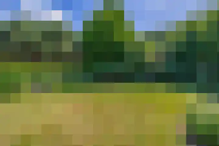 Sprookjesberg 14 Veldhoven thumbnail 44