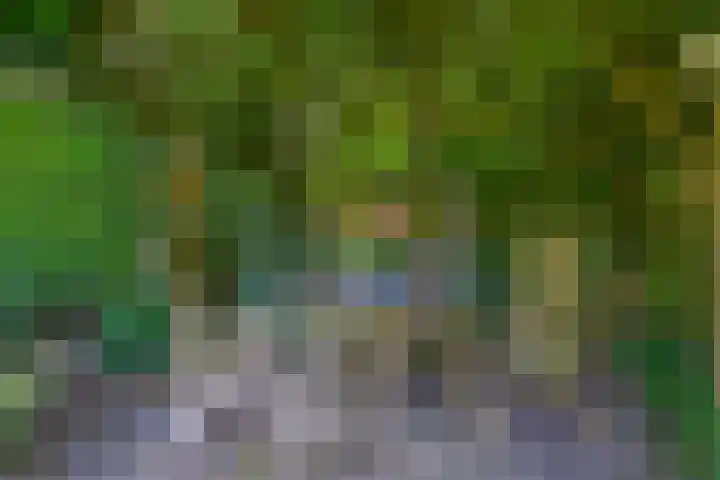 Sprookjesberg 14 Veldhoven thumbnail 45