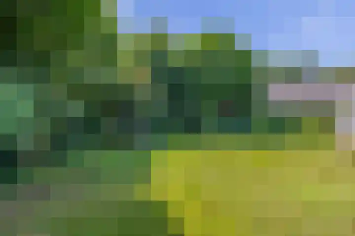 Sprookjesberg 14 Veldhoven thumbnail 46