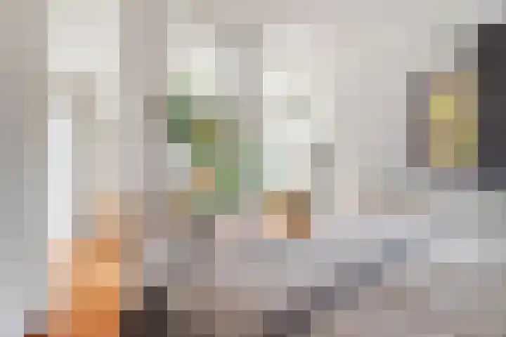 Sprookjesberg 2 A Veldhoven thumbnail 21