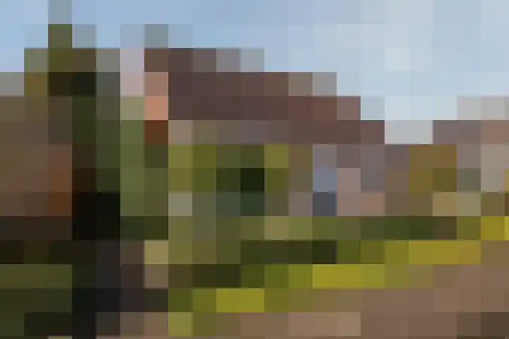 Sprookjesberg 2 A Veldhoven foto 3