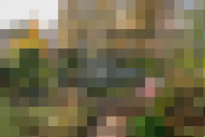 Sprookjesberg 2 A Veldhoven thumbnail 35