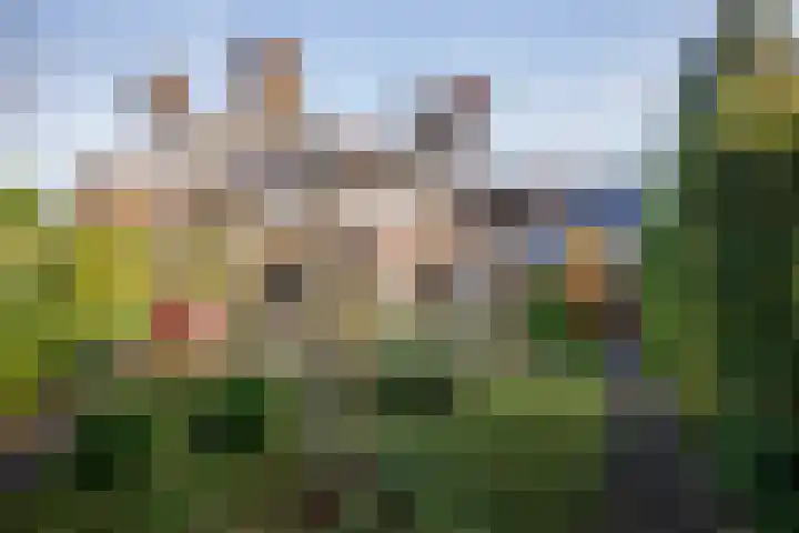 Sprookjesberg 2 A Veldhoven thumbnail 36
