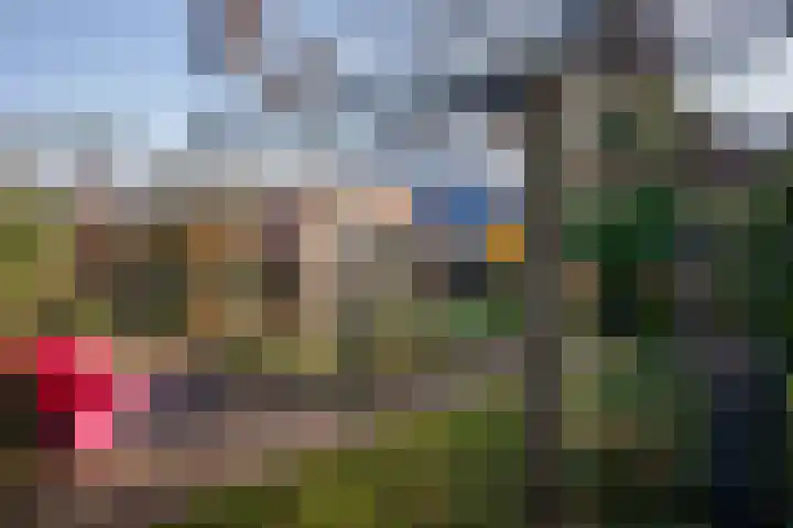 Sprookjesberg 2 A Veldhoven thumbnail 37