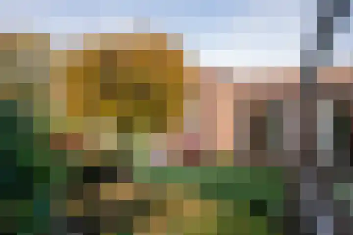 Sprookjesberg 2 A Veldhoven thumbnail 38