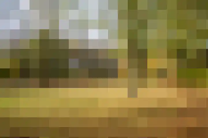 Sprookjesberg 2 A Veldhoven thumbnail 40