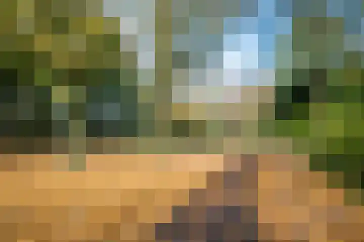 Sprookjesberg 2 A Veldhoven thumbnail 42