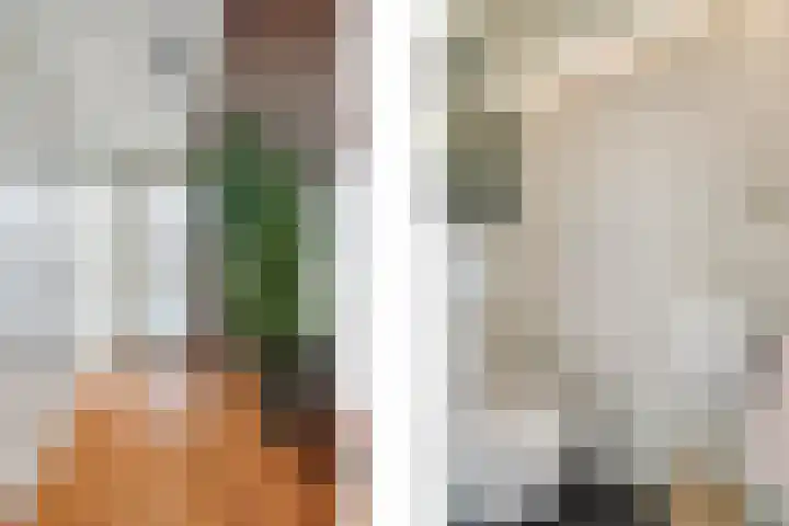 Sprookjesberg 2 A Veldhoven thumbnail 5