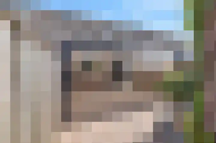 Sprookjesberg 29 Veldhoven thumbnail 37