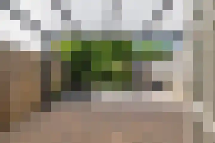 Sprookjesberg 29 Veldhoven thumbnail 40