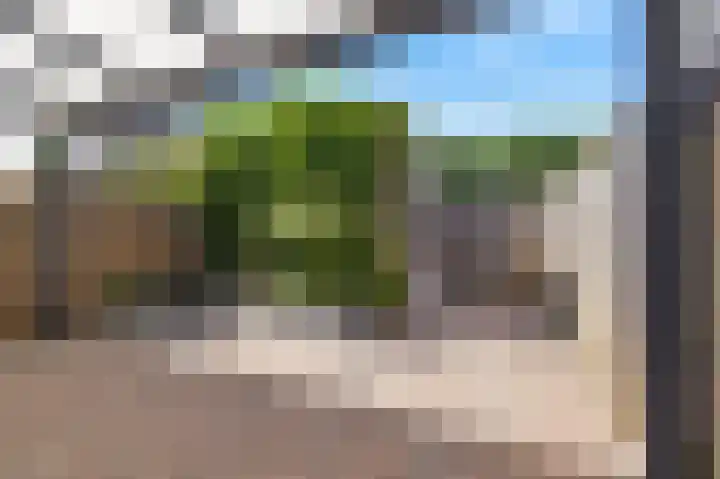 Sprookjesberg 29 Veldhoven thumbnail 41
