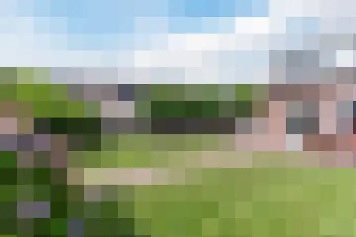Sprookjesberg 48 Veldhoven thumbnail 29