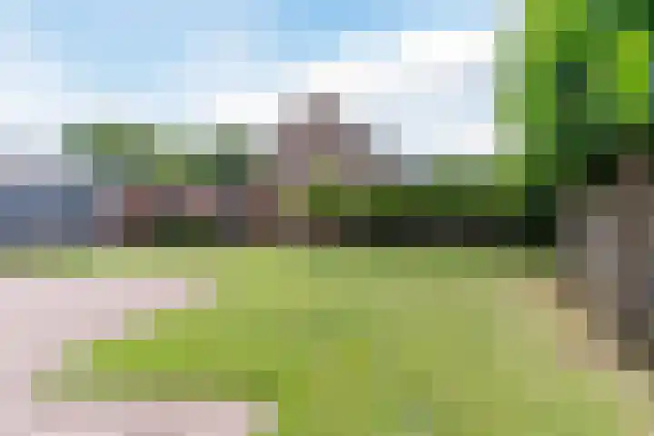 Sprookjesberg 48 Veldhoven thumbnail 32