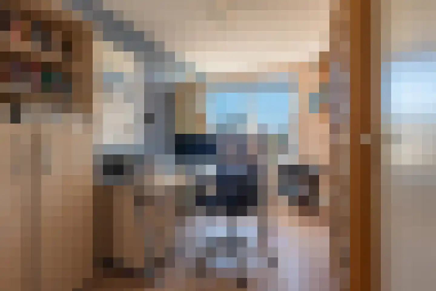 Sprookjesbosch 65 Eindhoven thumbnail 32