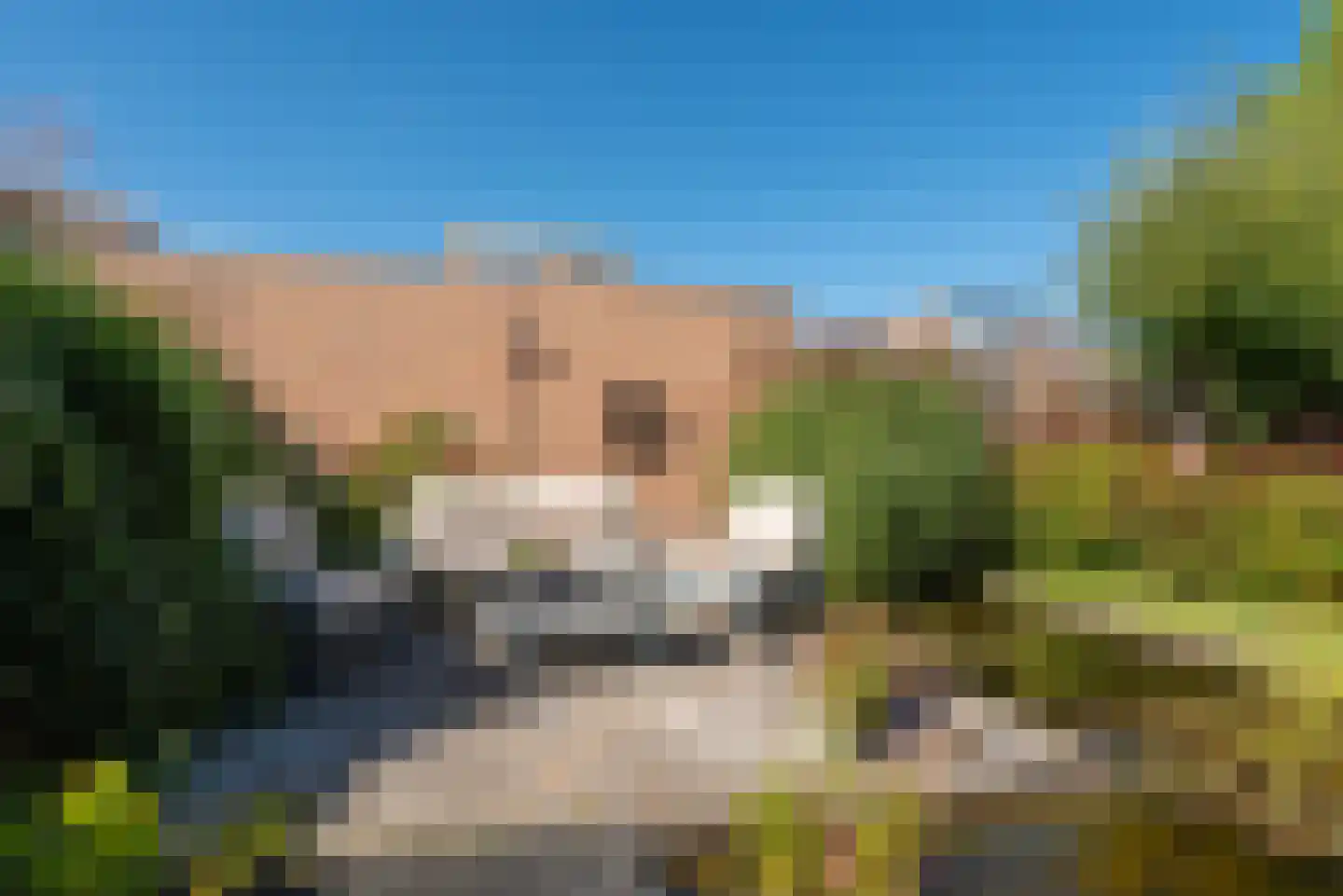 Sprookjesbosch 65 Eindhoven thumbnail 44