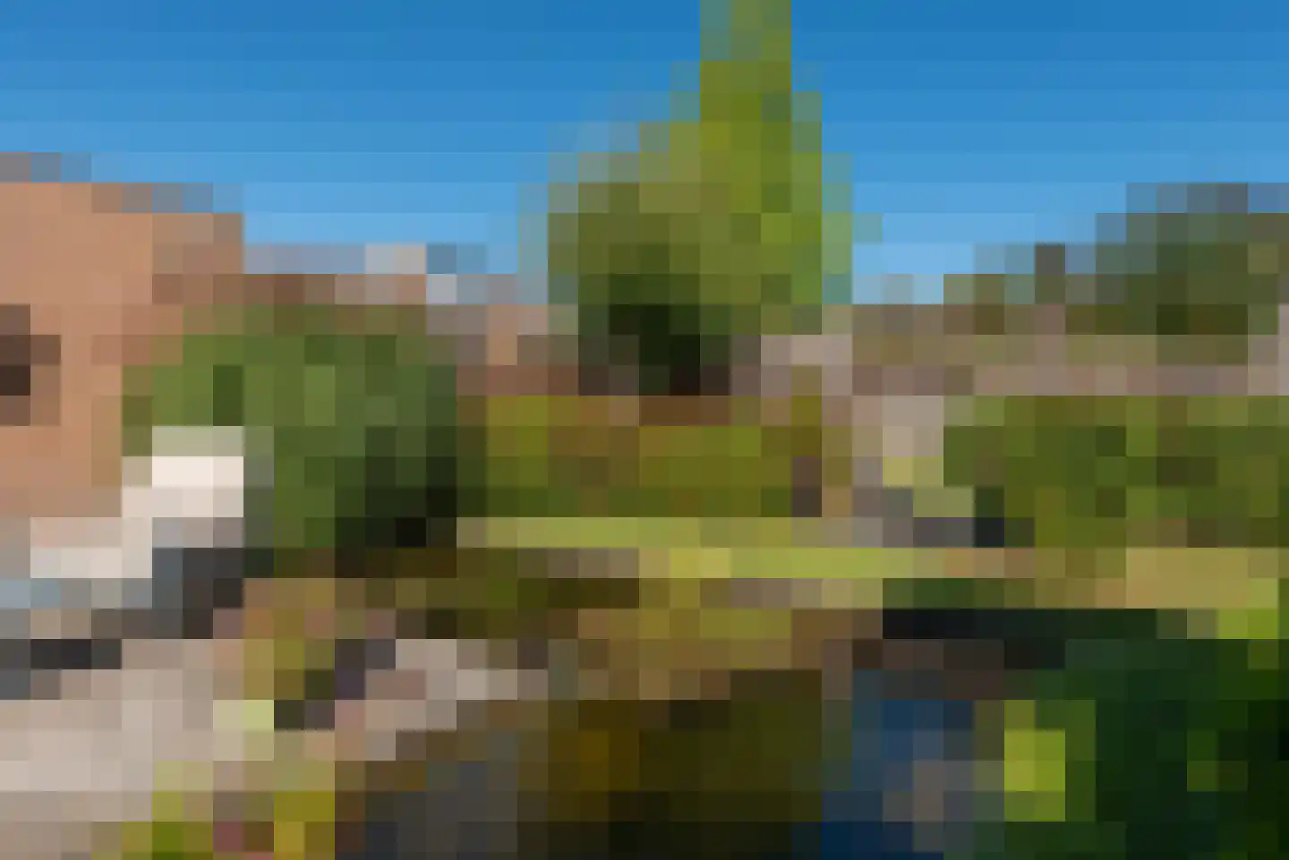 Sprookjesbosch 65 Eindhoven thumbnail 45
