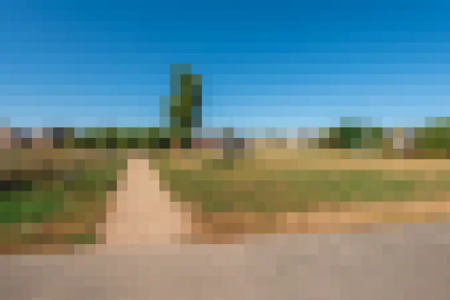 Sprookjesbosch 65 Eindhoven thumbnail 5