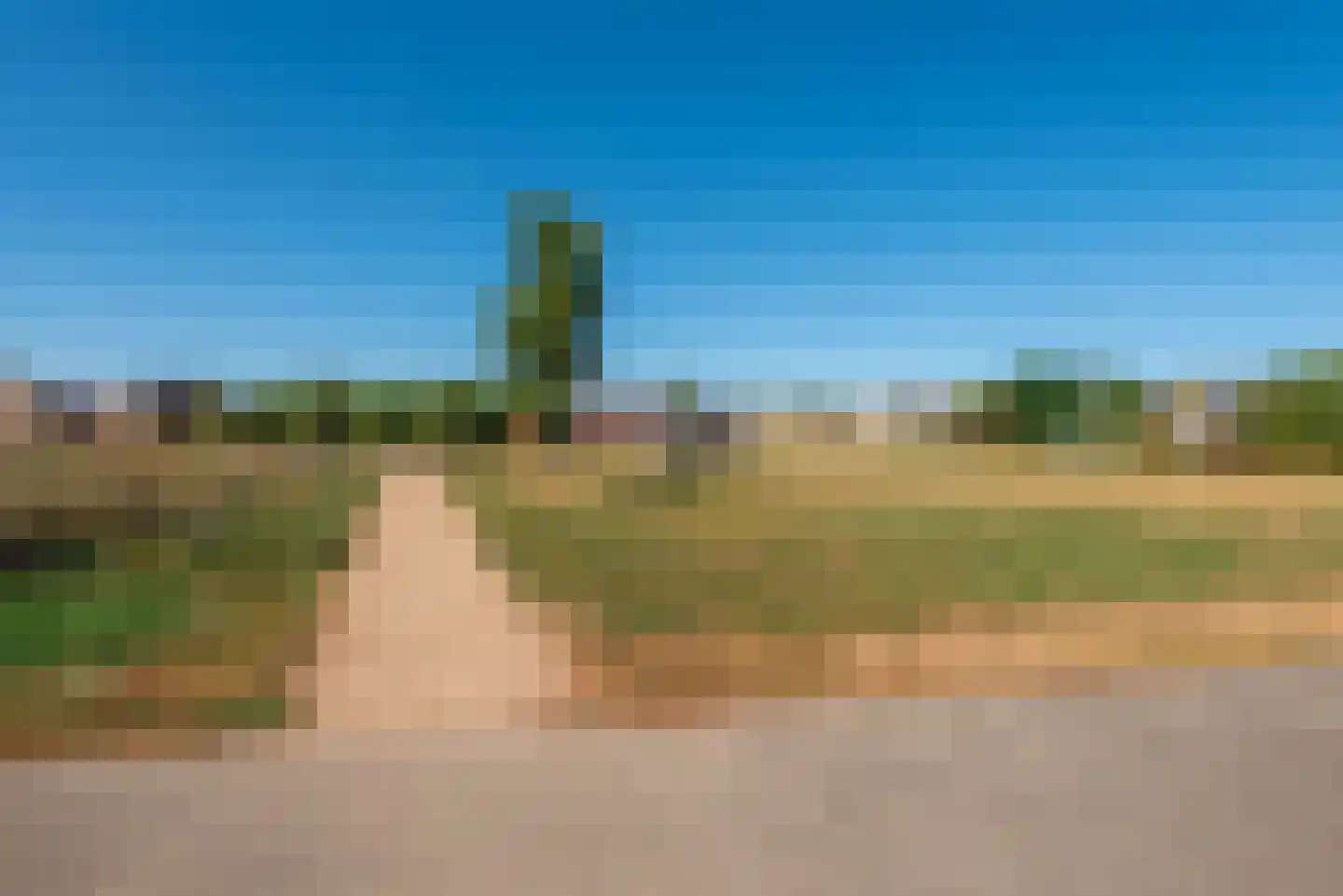 Sprookjesbosch 65 Eindhoven thumbnail 61