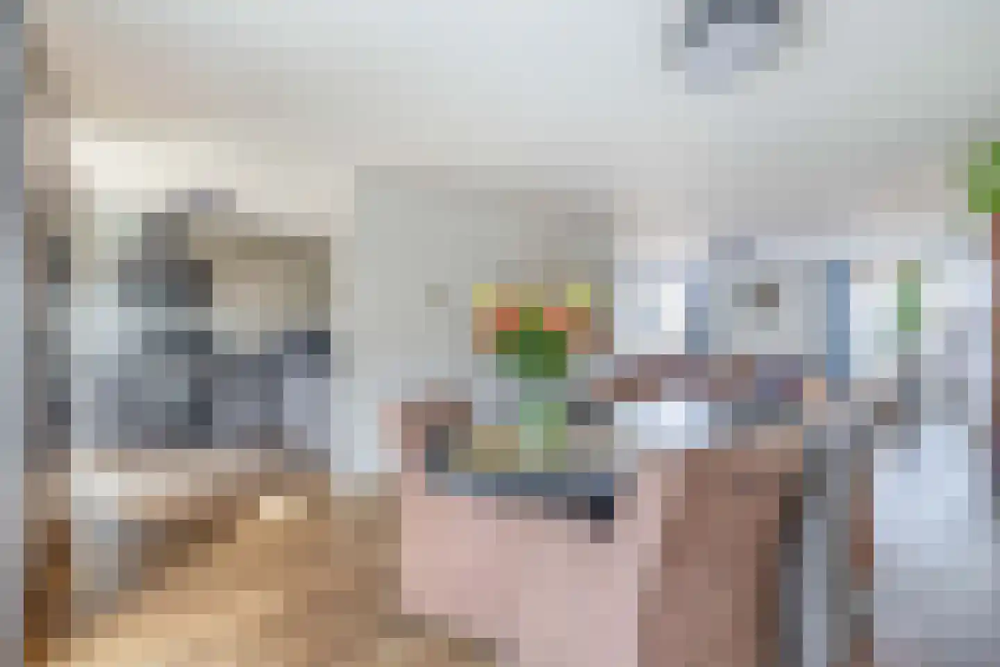 Sprookjesbosch 69 Eindhoven thumbnail 17