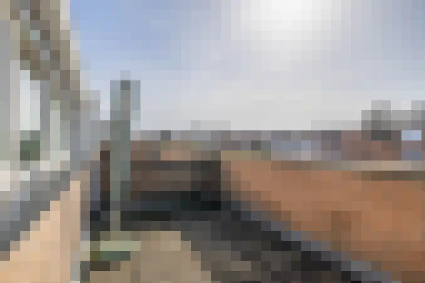 Sprookjesbosch 69 Eindhoven thumbnail 34