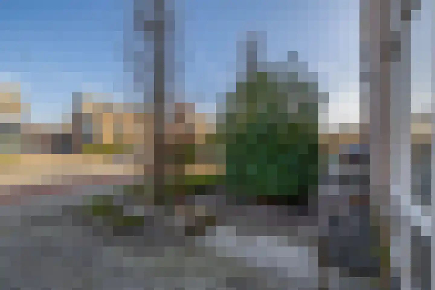 Sprookjesbosch 69 Eindhoven thumbnail 8