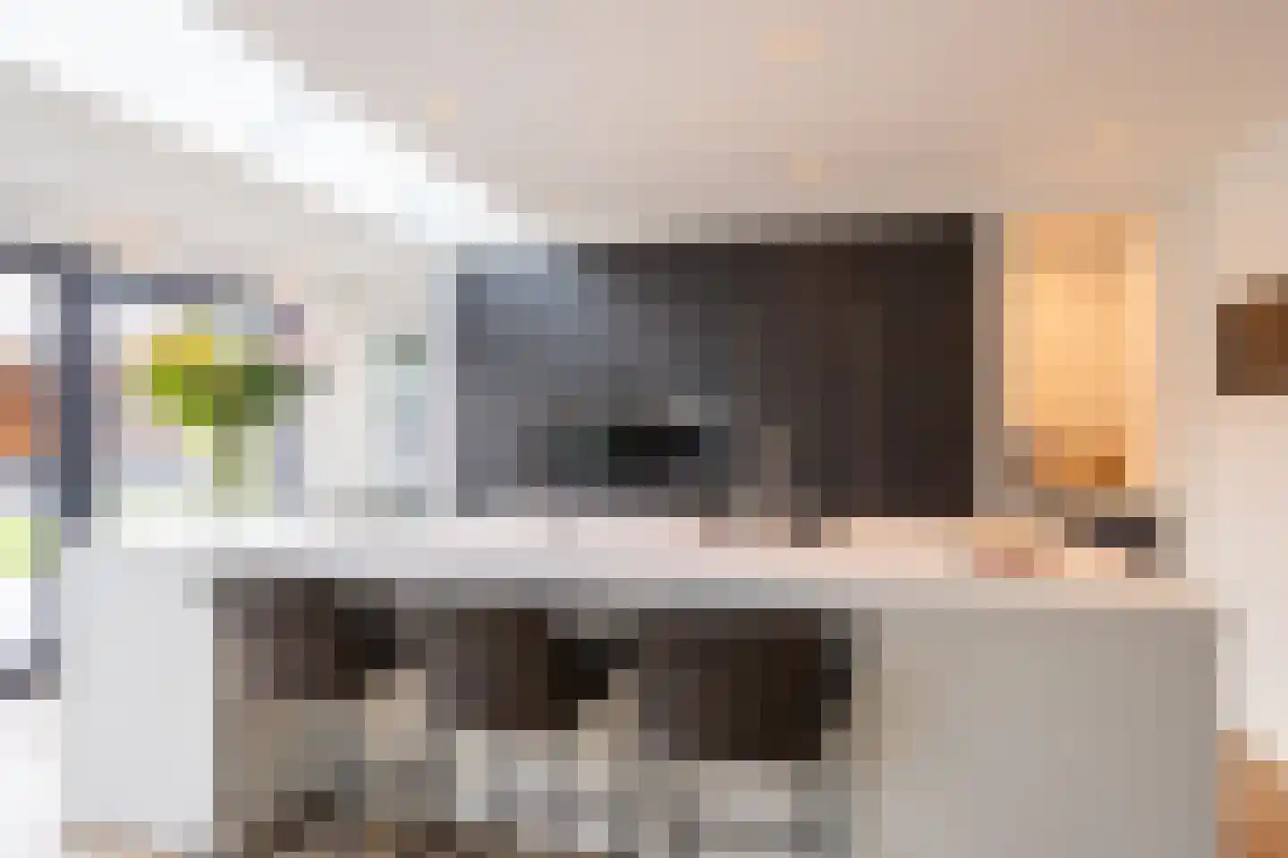 Sprookjesbosch 76 Eindhoven thumbnail 13