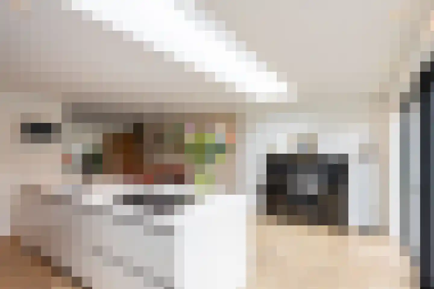 Sprookjesbosch 76 Eindhoven thumbnail 16