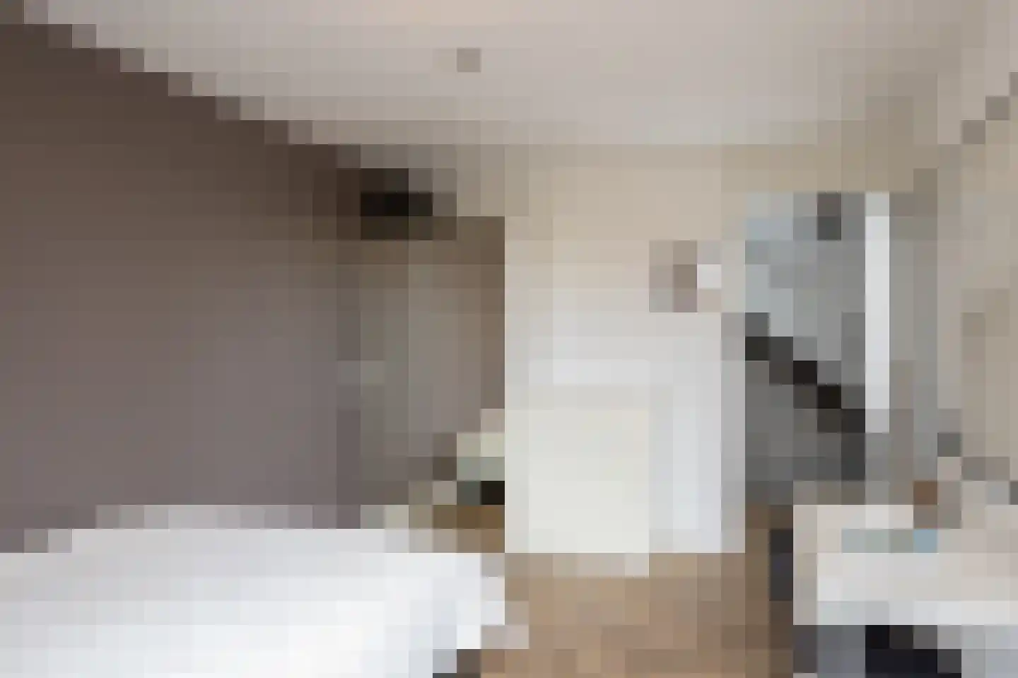 Sprookjesbosch 76 Eindhoven thumbnail 23