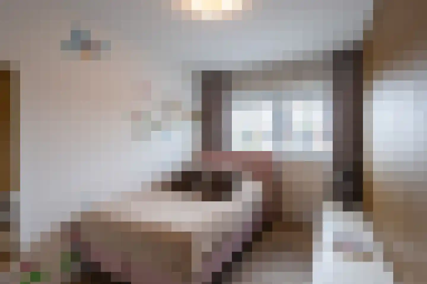 Sprookjesbosch 76 Eindhoven thumbnail 25