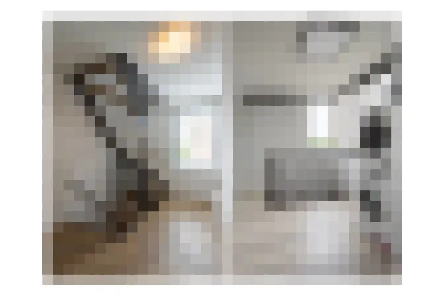 Sprookjesbosch 76 Eindhoven thumbnail 30