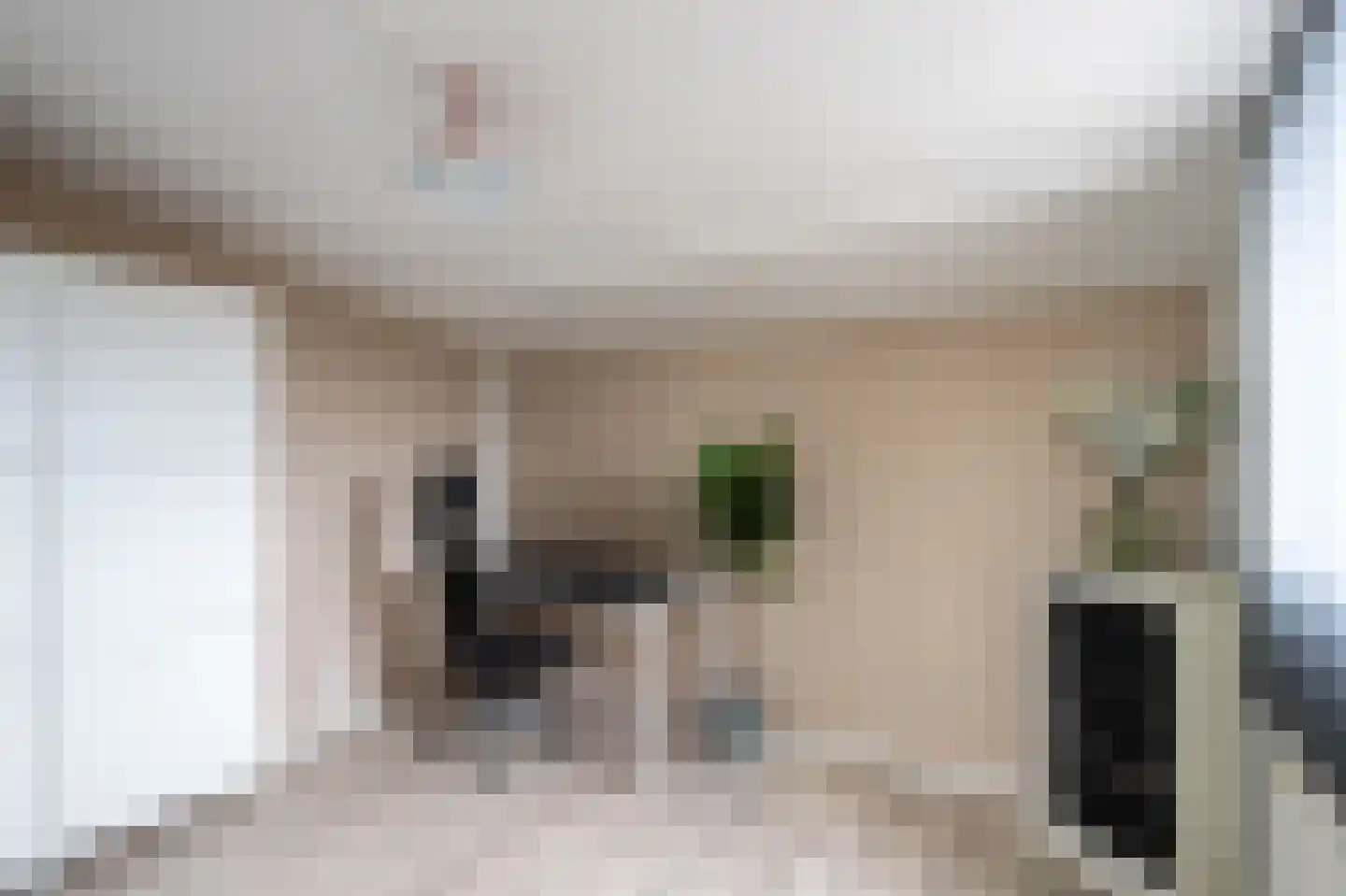 Sprookjesbosch 76 Eindhoven thumbnail 34