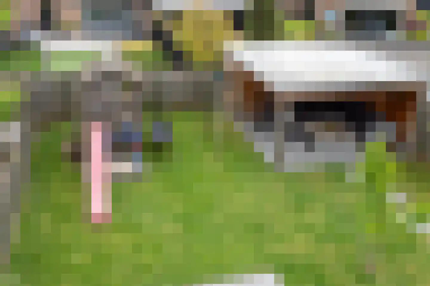 Sprookjesbosch 76 Eindhoven thumbnail 36