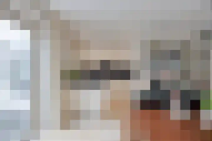 Sprookjesbosch 77 Eindhoven thumbnail 14