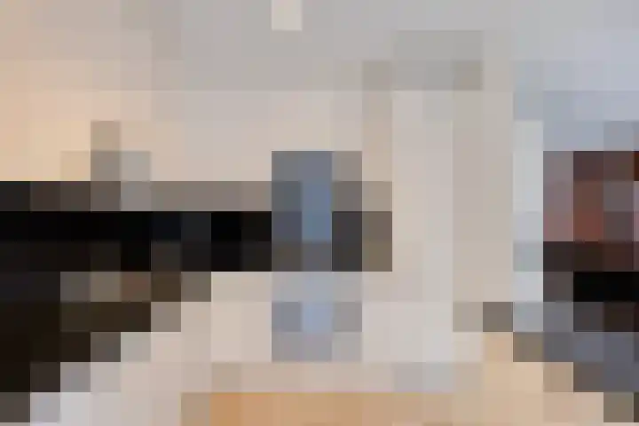 Sprookjesbosch 77 Eindhoven thumbnail 16
